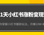 21天小红书涨粉变现营(第4期):带你掌握小红书爆款玩法,月赚10W+秘密-虚拟资源库