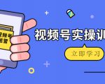 微信视频号实操训练营:视频号起号运营纯干货玩法!-虚拟资源库