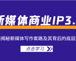 新媒体商业IP3.0，全面揭秘新媒体写作套路及其背后的底层逻辑（价值1299元）-虚拟资源库