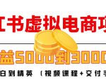 小红书虚拟电商项目:从小白到精英 月收益5000到30000 (视频课程+交付手册)-虚拟资源库