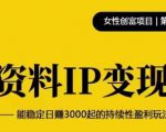 资料IP变现,能稳定日赚3000起的持续性盈利玩法-虚拟资源库