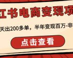 顽石·小红书电商变现项目,实测当天出200多单,半年变现百万,非常稳定-虚拟资源库