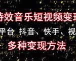黄岛主《粒子特效音乐短视频变现项目》主攻平台抖音、快手、视频号多种变现方法-虚拟资源库