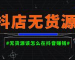 启哥抖店无货源店群陪跑计划,一个人在家就能做的副业,月入10000+-虚拟资源库
