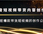 抖音短视频带货内容创作班,解密爆款带货短视频的创作公式-虚拟资源库