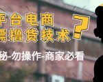 外面收费2980的全平台电商白嫖撸货技术（仅揭秘勿操作-商家防范必看）-虚拟资源库