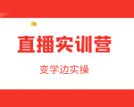 直播实训营,变学边实操,成为运营型主播,拉动直播间人气-虚拟资源库
