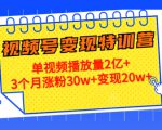 21天视频号变现特训营:单视频播放量2亿+3个月涨粉30w+变现20w+(第14期)-虚拟资源库
