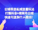 公域导流私域流量玩法:打爆抖音+视频号公域,快速引流到个人微信!-虚拟资源库
