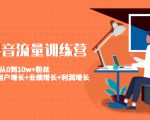 美业抖音流量训练营：从0到10w+粉丝 让你的门店用户增长+业绩增长+利润增长-虚拟资源库