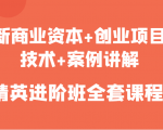 新商业资本+创业项目，技术+案例讲解，精英进阶班全套课程-虚拟资源库