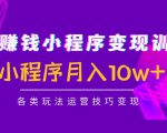 抖音赚钱小程序变现训练营：小程序月入10w+各类玩法运营技巧变现-虚拟资源库