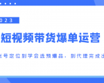 2023短视频带货爆单运营,从账号定位到学会选预爆品,到代理完成出单(价值1250元)-虚拟资源库