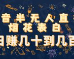 抖音半无人直播烟花表白，日赚几十到几百（教程+视频模板素材）-虚拟资源库