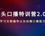 镜头口播特训营2.0版,学习文案编导以及拍摄口播能力(50节课时)-虚拟资源库