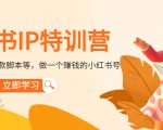 小红书IP特训营:从搭建-制作-爆款脚本等等,做一个赚钱的小红书号-虚拟资源库