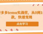 跨境拼多多temu实战营,从0到1打造爆款,快速变现-虚拟资源库