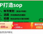 瑶瑶·自然流IP孵化,系统掌握IP孵化全流程,也能学到选题,剪辑,账号运营经验-虚拟资源库