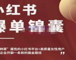 小红书爆单锦囊,自带种草属性+高质量女性用户,为你的企业开辟一条新的掘金路径-虚拟资源库