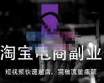 蓝Sir派·淘宝短视频快速起店,替代传统搜索方式,学会做一个不一样的淘宝店-虚拟资源库
