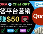 免费推广Clickbank热销商品，每单25.07美元，日赚50美元以上-虚拟资源库