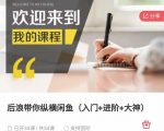 后浪带你纵横闲鱼（入门+进阶+大神），闲鱼最新玩法，简单粗暴-虚拟资源库