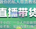 硬核传媒·直播带货（私人教练），实操实战教学，通俗易懂，学完后新手小白一个人也能做带货-虚拟资源库