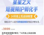 瑶瑶·自然流短视频IP孵化第二期,14天线上实战训练营,赋能100个人成为有数据能赚钱的独立IP孵化手-虚拟资源库