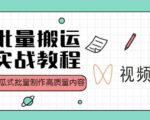 视频号批量搬运实战操作运营赚钱教程,傻瓜式批量制作高质量内容【附视频教程+PPT】-虚拟资源库