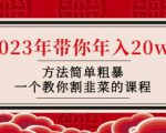 韭菜-联盟·2023年带你年入20w+方法简单粗暴，一个教你割韭菜的课程-虚拟资源库