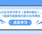 厦九九小红书学习年卡(全年IP孵化),沉浸式学习,一起成为有影响力的小红书博主-虚拟资源库