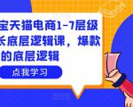 大圣淘宝天猫电商1-7层级盈利增长底层逻辑课，爆款的底层逻辑-虚拟资源库
