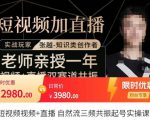 张越·短视频+直播,自然流三频共振起号实操课,短视频所有流量玩法讲解-虚拟资源库