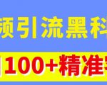 视频引流黑科技玩法,不花钱推广,视频播放量达到100万+,每日100+精准客源-虚拟资源库