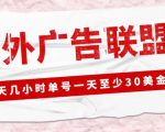 外面收费1980的最新国外LEAD广告联盟搬砖项目,单号一天至少30美金【详细玩法教程】-虚拟资源库