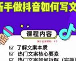 新手做抖音如何写文案,手把手实操如何拆解热门文案-虚拟资源库