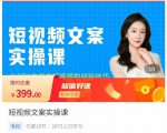 小秋·短视频文案实操课,从0到1教你做短视频的经验技巧-虚拟资源库