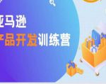 亚马逊产品开发训练营，能爆单的产品开发方法，助你突出重围-虚拟资源库
