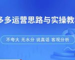 拼多多店铺运营思路与实操教程,快速学会拼多多开店和运营,少踩坑,多盈利-虚拟资源库