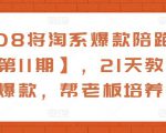 108将淘系爆款陪跑营【第11期】,21天教运营打爆款,帮老板培养运营-虚拟资源库
