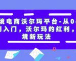 跨境电商沃尔玛平台-从0基础到入门,沃尔玛的红利,跨境新玩法-虚拟资源库