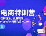 美团电商特训营:美团·店群玩法,无脑铺货月产出6000-15000+精细化月产2w+-虚拟资源库