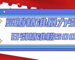 豆瓣精准暴力引流,日引精准粉500+【12课时】-虚拟资源库