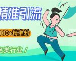 soul精准引流系列课程,一天引流100+精准粉,适合各类行业-虚拟资源库