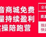 抖音商城搜索持续盈利陪跑成长营，抖音商城搜索从0-1、从1到10的全面解决方案-虚拟资源库