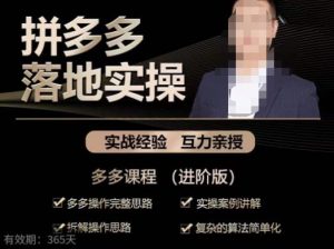 拼多多实战篇·落地实操:多多操作完整思路+实操案例讲解+拆解操作思路+复杂的算法简单化-虚拟资源库