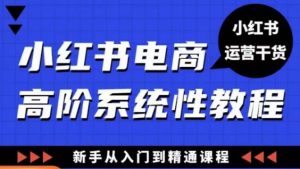 小红书电商高阶系统教程，新手从入门到精通系统课-虚拟资源库
