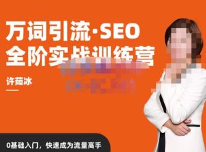 许茹冰·万词引流-SEO全阶实战训练营，0基础入门，快速成为流量高手-淘宝虚拟货源网
