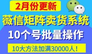 微信矩阵卖货系统，多线程批量养10个微信号，10种加粉落地方法，快速加满3W人卖货！-虚拟资源库