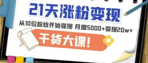 21天精准涨粉变现干货大课:从10位粉丝开始变现月增5000+变现20w+-虚拟资源库